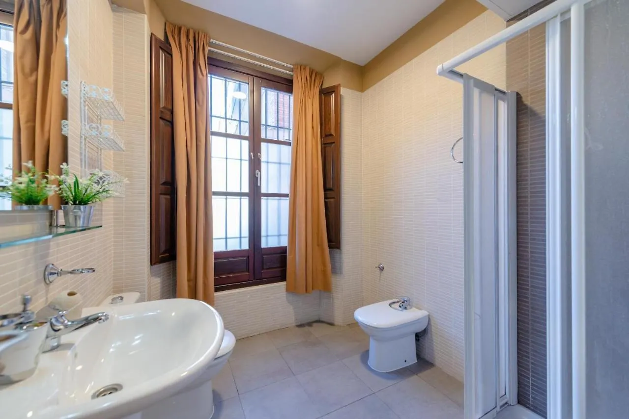 Boutique Apartment Center Granada 0*,  Spain